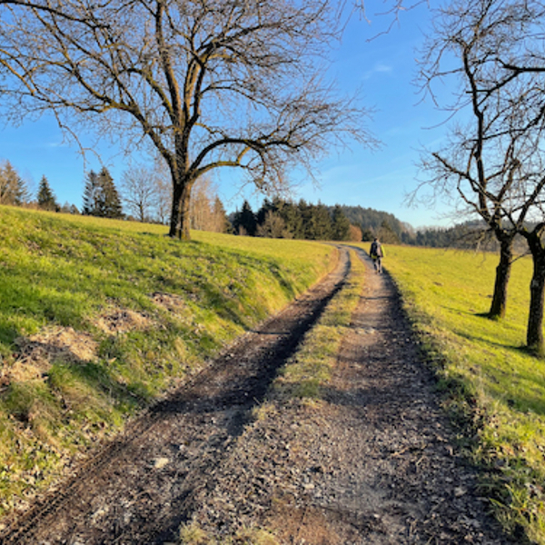 Frauenkraftweg / © frauenkraftweg.com