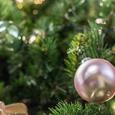 Christbaum / © CC by morguefile.com. Autor: rickrmg Christbaum