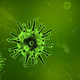Vorsichtsmaßnahmen bezüglich Corona-Virus / © pixabay, qimono Vorsichtsmaßnahmen bezüglich Corona-Virus