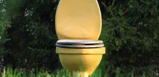 Toilette im Grünen