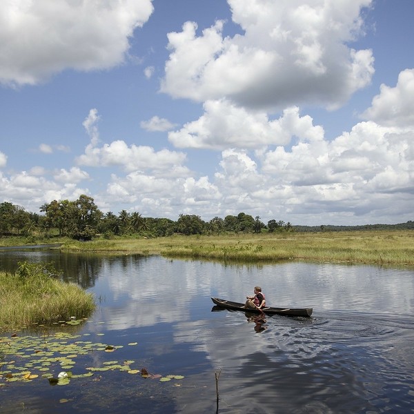 Guyana / © 12019/www.pixabay.com/CC0 1.0 Guyana