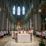Vier Männer von Bischof Scheuer im Mariendom Linz  zu Priestern geweiht