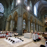 Vier Männer von Bischof Scheuer im Mariendom Linz  zu Priestern geweiht