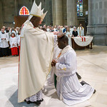 Vier Männer von Bischof Scheuer im Mariendom Linz  zu Priestern geweiht